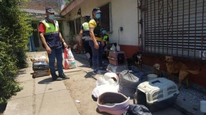 Tucumán: rescataron 19 perros en estado de abandono y hallaron 4 muertos