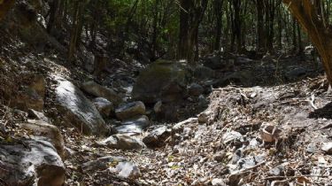 Cosquin adquirió un lote lleno de vertientes de agua