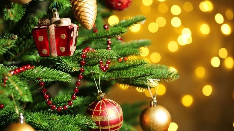 ¿Qué significa el árbol de Navidad?