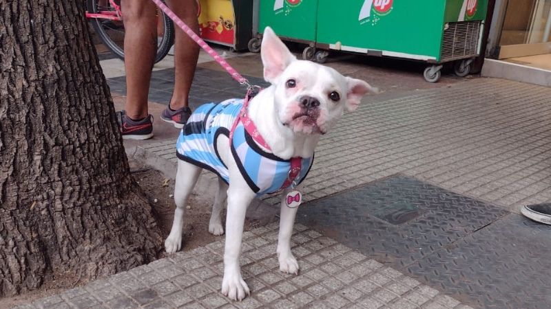 Las imágenes de la locura en los festejos de Carlos Paz