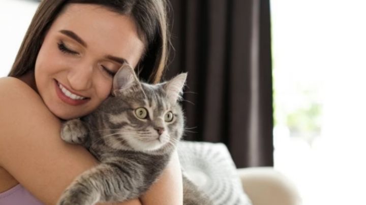 Gatos: Por qué son las mascotas ideales para hacer compañía