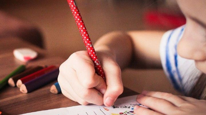 Ayuda escolar anual de Anses: cómo acceder al cobro para el comienzo de clases