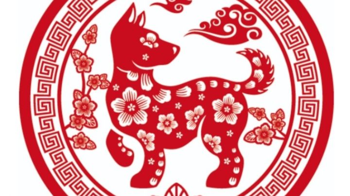 horóscopo chino: significado y características del perro