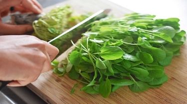 Berro: el superalimento para fortalecer el organismo
