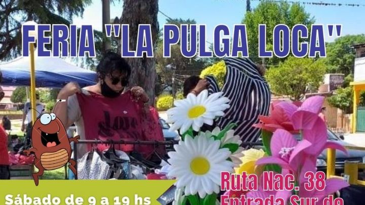 Huerta Grande: sábado y domingo vuelve la feria "La Pulga Loca"