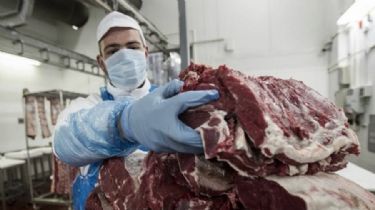 Intimaron a exportadores de carne a cumplir con la provisión del plan Cortes Cuidados