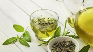 Salud: qué efectos produce el té verde en nuestro  organismo