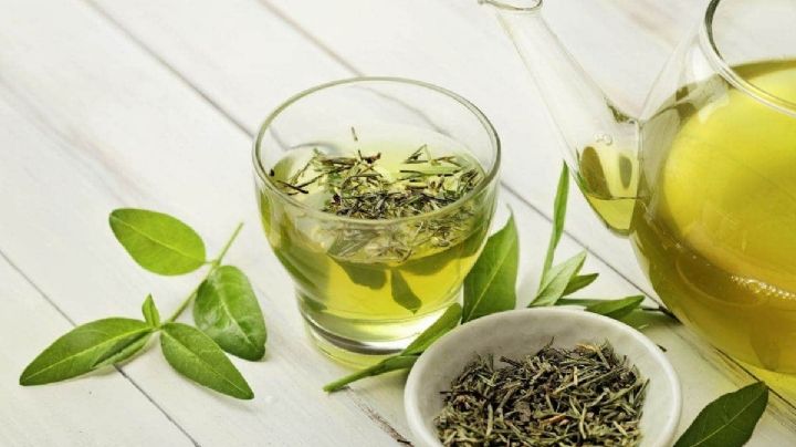 Salud: qué efectos produce el té verde en nuestro  organismo