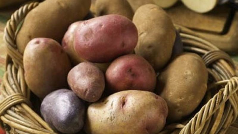 ¿Qué beneficios tiene comer papa todos los días?