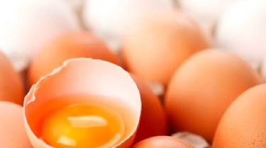 La yema de huevo: un superalimento para incluir en tu dieta
