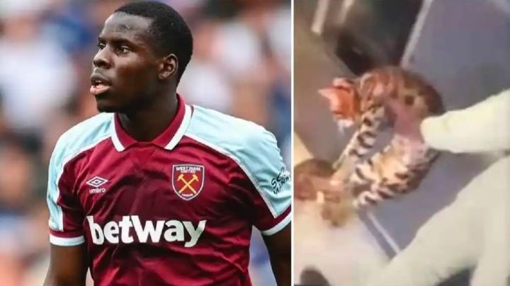 Condenaron a futbolista que apareció en un video golpeando a su gato