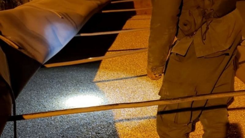 Gendarmes decomisan 60 toneladas de maíz en dos procedimientos