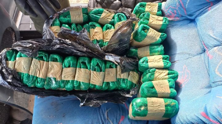 Ocultaban 20 kilos de hojas de coca en un ómnibus