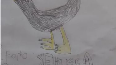 Desapareció su gallina, hizo un dibujo para buscarla y la encontró