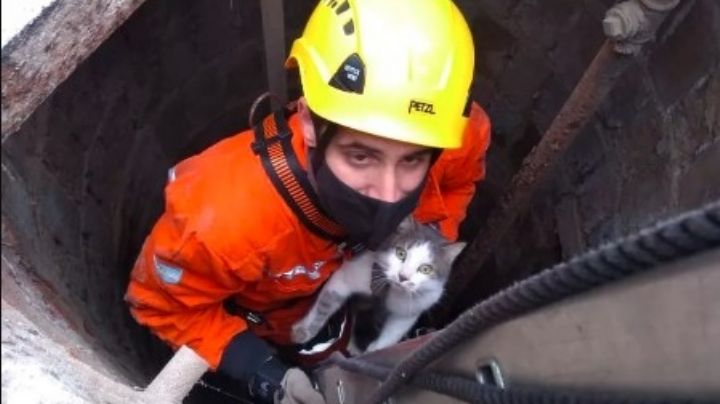 Bomberos rescataron a un gato que había caído en un pozo