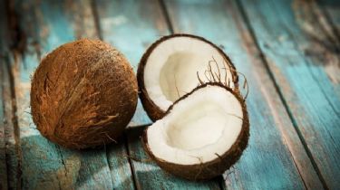 ¿Qué beneficios aporta al cuerpo la leche de coco?