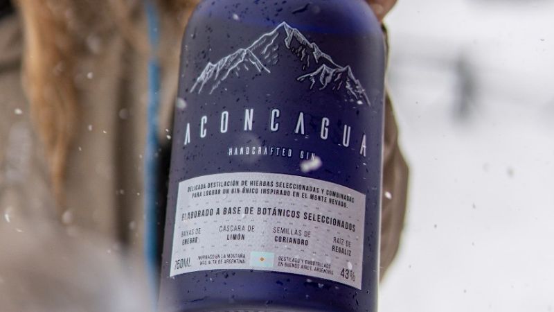 Aconcagua: dos amigos y un gin «made in Argentina» que la rompe