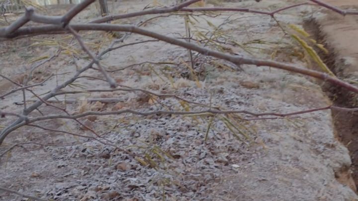Una tremenda helada cayó en el Valle de Punilla: ¿Qué dice el pronóstico?
