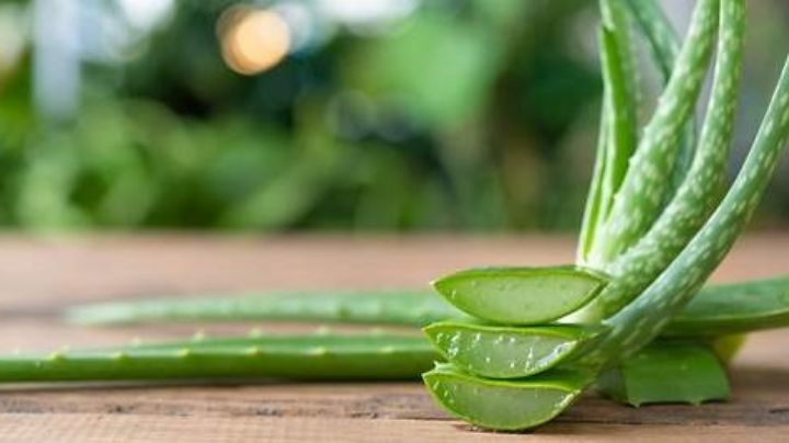 Para qué sirve el Aloe vera: cuatro formas de aprovechar sus beneficios