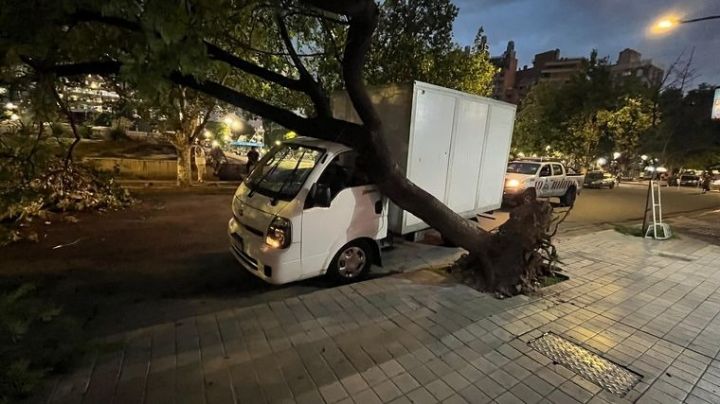 Un árbol cayó sobre un camión en la ciudad de Córdoba