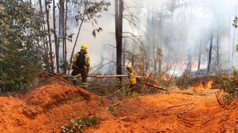 Hay al menos 13 muertos por los incendios en Chile