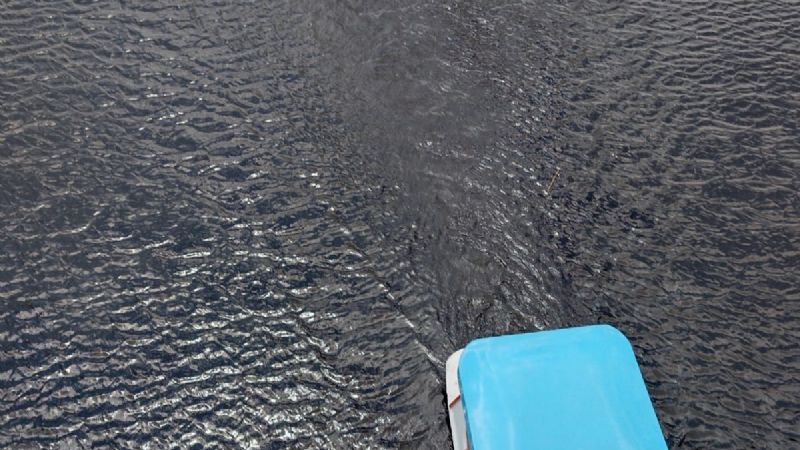 El lago volvió a renacer y todos lo disfrutan este fin de semana