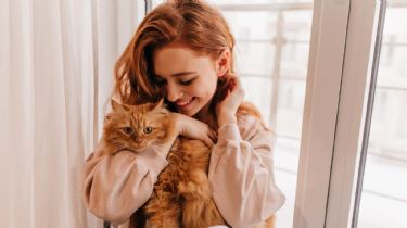 La guía práctica esencial para mejorar la relación con tu gato
