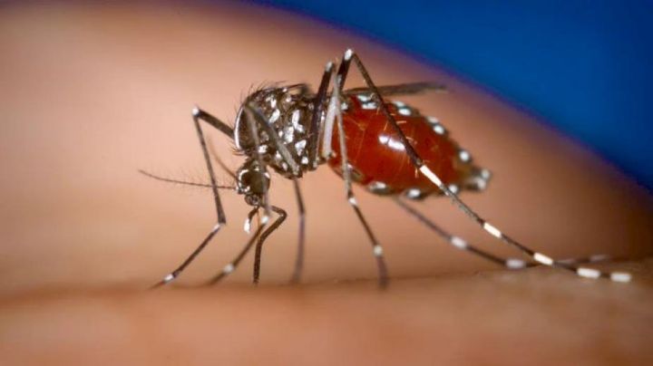 Dengue: las personas con síntomas serán consideradas como «positivo»