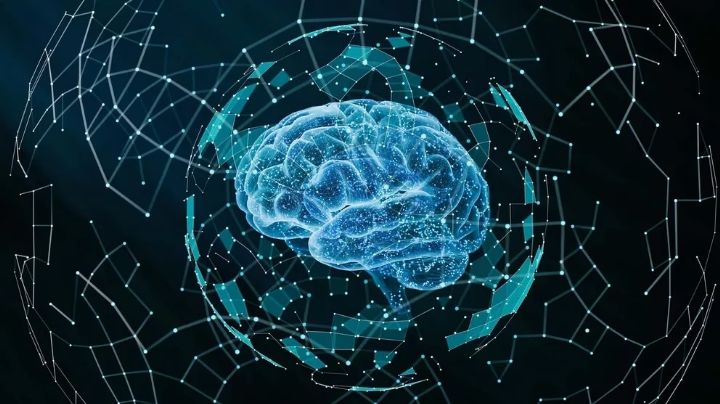 ¿Podrían las computadoras funcionar con células cerebrales humanas?