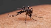 Continúa la tendencia al descenso de casos de dengue en la provincia