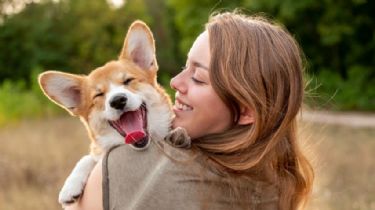 ¿Por qué los perros aman a los humanos?