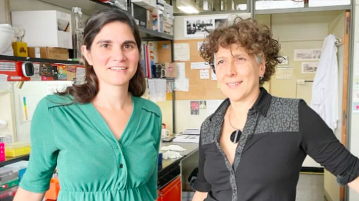 Dengue: dos investigadoras argentinas avanzan en la creación de una vacuna