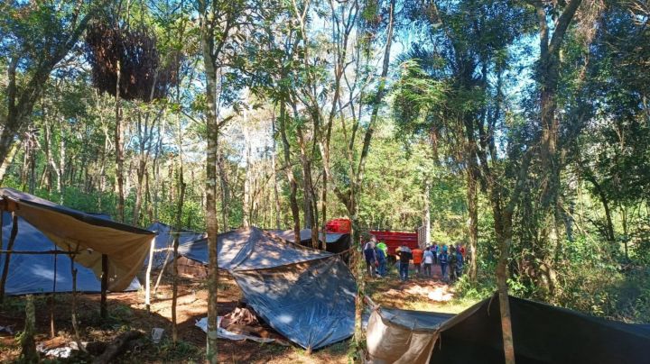 Liberan a trabajadores de un campamento precario para la cosecha de yerba