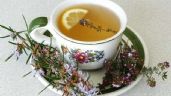 Descubrí los increíbles beneficios del té de romero