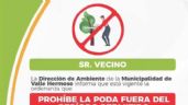 Comienza la prohibición de podas en Valle Hermoso