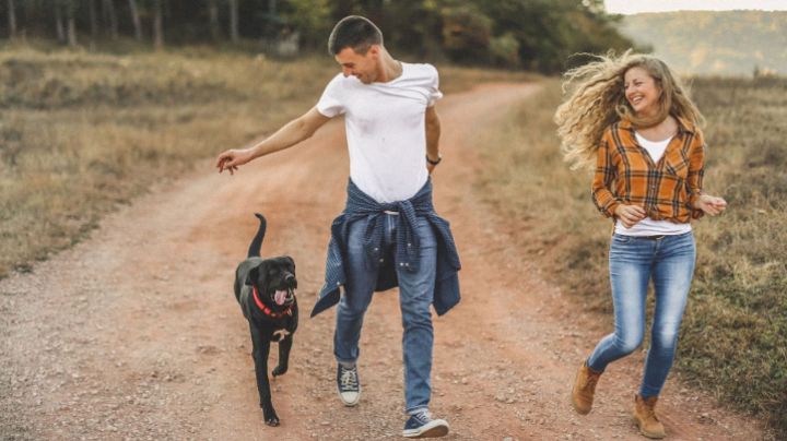 ¿Por qué mi perro me sigue a todas partes?