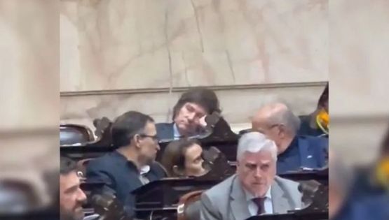 Video: Milei se durmió en plena sesión y se volvió viral