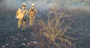 Contuvieron un incendio forestal en Villa San Nicolás