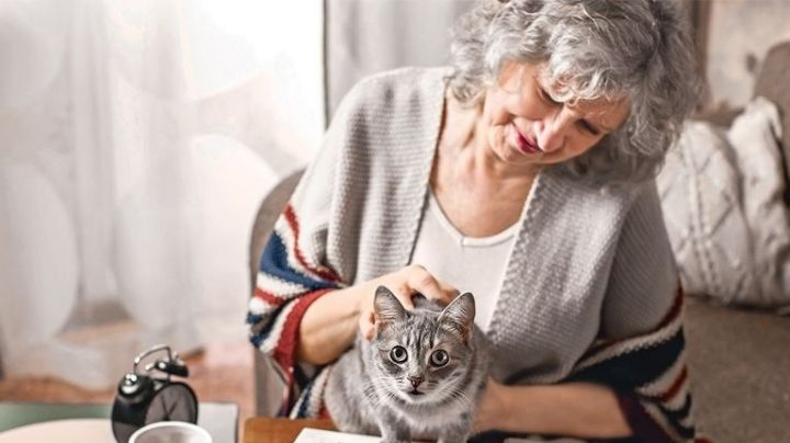 Los grandes beneficios de compartir nuestra vida con gatos
