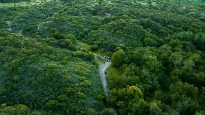 Reserva Urbana San Martín: un paseo por bosques nativos a minutos del centro de Córdoba